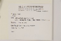 登錄號:G000882藏品圖，第2張