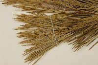 登錄號:G000882藏品圖，第3張