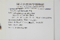 香青藏品圖，第2張