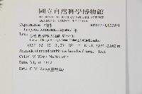 刺柏藏品圖，第2張