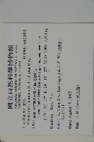 柳杉藏品圖，第2張