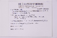 台灣肖楠藏品圖，第2張