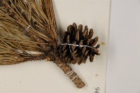 登錄號:G000896藏品圖，第3張