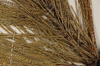 登錄號:G000896藏品圖，第4張