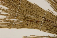 登錄號:G000896藏品圖，第5張