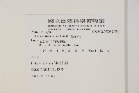 馬尾松藏品圖，第2張