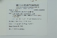 臺灣冷杉藏品圖，第2張