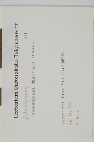 竹柏藏品圖，第2張