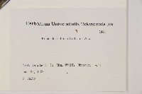 日本赤松藏品圖，第2張