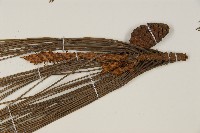 日本赤松藏品圖，第3張