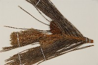 日本赤松藏品圖，第4張