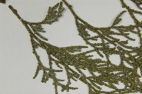 台灣肖楠藏品圖，第4張