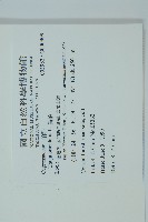 側柏藏品圖，第2張