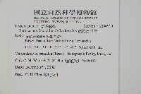 叢花百日青藏品圖，第2張