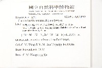 杉木藏品圖，第2張