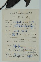 小葉買麻藤藏品圖，第2張