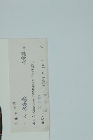 買麻藤藏品圖，第2張
