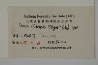 紅豆杉藏品圖，第2張