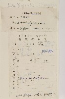 油松藏品圖，第2張