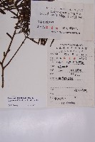 登錄號:G000941藏品圖，第2張