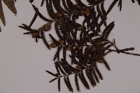 登錄號:G000941藏品圖，第3張