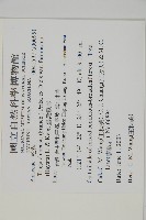 臺灣鐵杉藏品圖，第2張