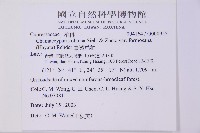 臺灣扁柏藏品圖，第2張