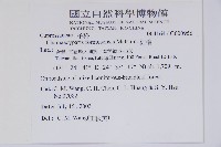 紅檜藏品圖，第2張