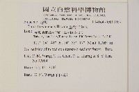 臺灣二葉松藏品圖，第2張