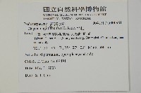 竹柏藏品圖，第5張