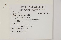鐵杉藏品圖，第2張