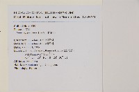 馬尾松藏品圖，第2張