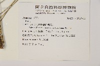 登錄號:G000972藏品圖，第2張