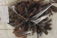 登錄號:G000972藏品圖，第3張