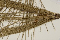 登錄號:G000972藏品圖，第5張