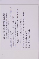 小葉南洋杉藏品圖，第2張