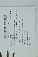 登錄號:G000976藏品圖，第7張