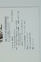 登錄號:G000976藏品圖，第12張