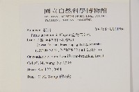 臺灣二葉松藏品圖，第5張