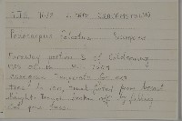 登錄號:G000992藏品圖，第2張