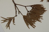 登錄號:G000992藏品圖，第3張