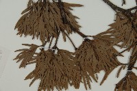 登錄號:G000992藏品圖，第4張