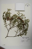 登錄號:G000996藏品圖，第1張