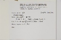 登錄號:G000996藏品圖，第2張