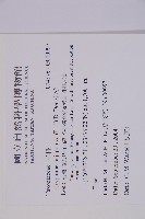 柳杉藏品圖，第2張