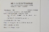 杉木藏品圖，第2張