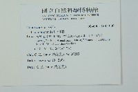 側柏藏品圖，第2張