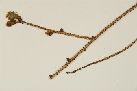 登錄號:G001004藏品圖，第4張