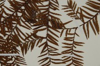 雲南紅豆杉藏品圖，第5張