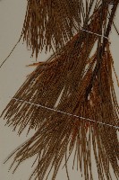 登錄號:G001008藏品圖，第3張